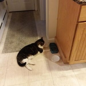 Meet your Posher, Cindy